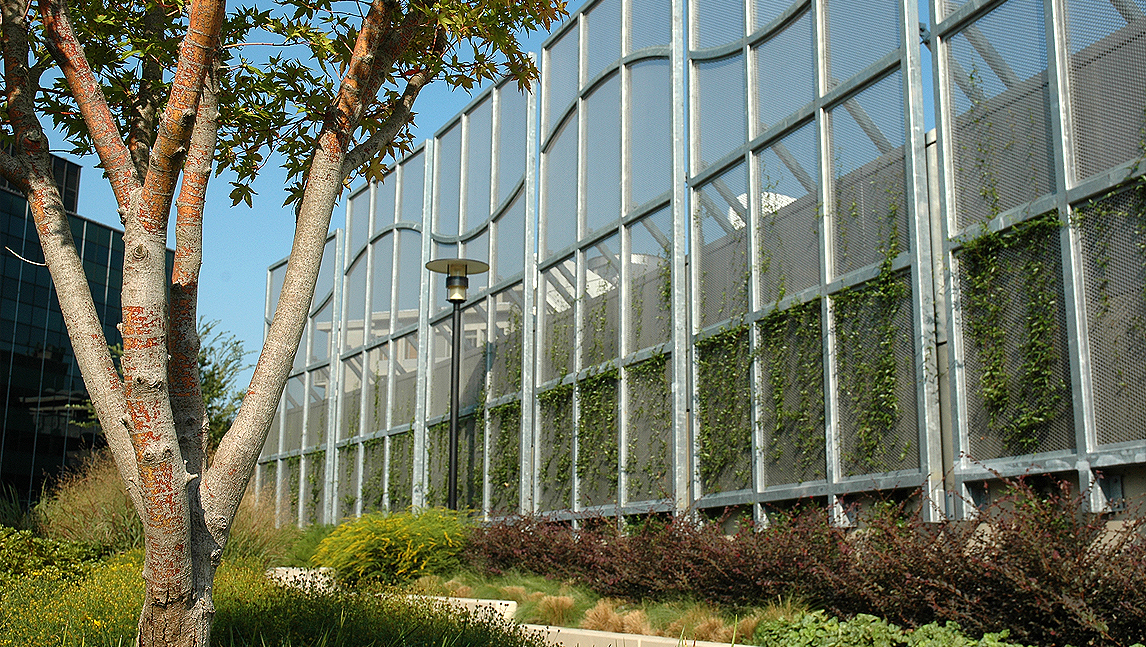Freedom Park Renovation – Arlington, VA